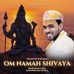 Om Namah Shivaya