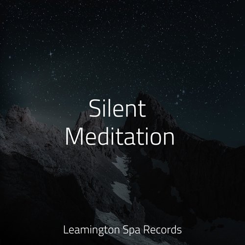 Meditating Music cover art