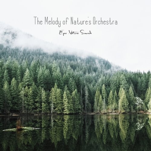 The Melody of Nature's Orchestra cover art