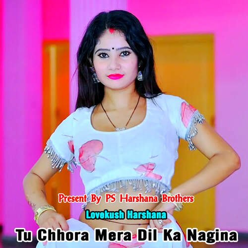 Tu Chhora Mera Dil Ka Nagina