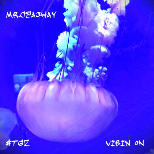 Jays cover art
