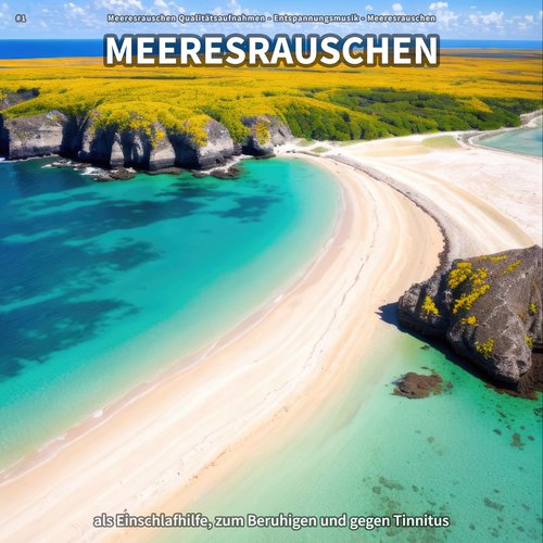 Ozeanrauschen gegen Lärm cover art