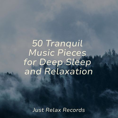 50 Tranquil Music Pieces for Deep Sleep and Relaxation_poster_image