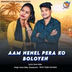 Aam Nenel Pera Ko Boloyen
