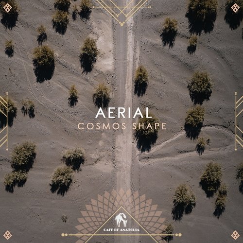 Aerial (ThroDef Remix) cover art
