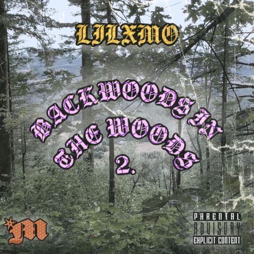 Backwoods In The Woods 2 cover art
