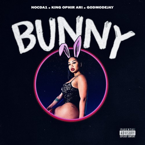 Bunny cover art