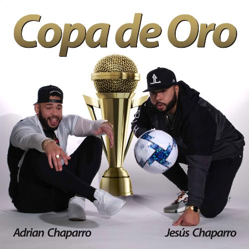 Copa De Oro_poster_image