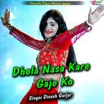 Dhola nasa kare gaje ko artwork