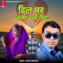 Dil Par Julam Kari Ledu