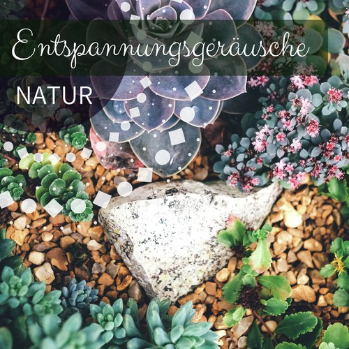 Entspannungsgeräusche Natur - Entspannung mit Natur Sounds und Wasser Naturgeräusche_poster_image