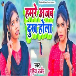 Hamare Azab Dukh Hola
