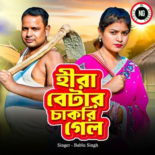 Heera Betar Chakri Gelo