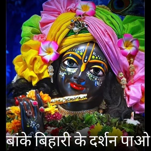बांके बिहारी के दर्शन पाओ
