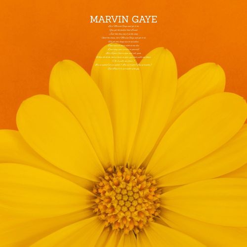 Marvin Gaye