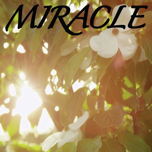 Miracle / Tribute to Chvrches cover art
