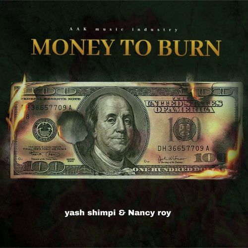 Money to burn