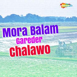 Mora Balam Gareder Chalawo-Q1E4d0EGcQM