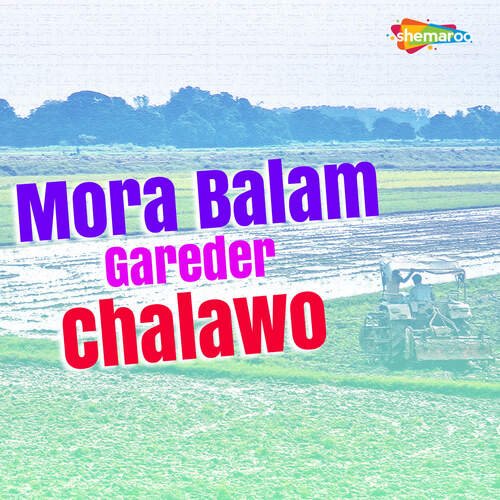 Mora Balam Gareder Chalawo