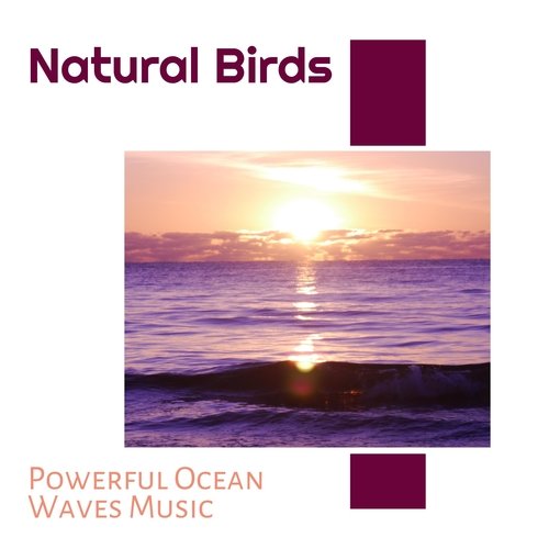 Spring Waves cover art