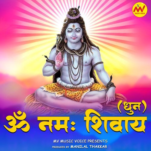 Om Namah Shivay - Dhun