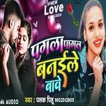 Pagla Pagal Banaile Bave