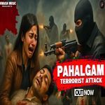Pahalgam Terrorist Attack