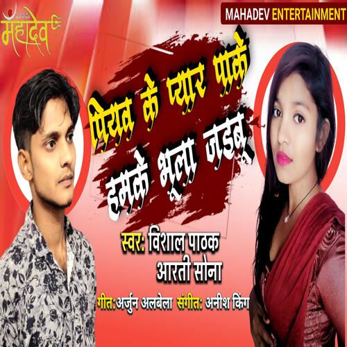 Piyava Ke Pyar Paake_poster_image