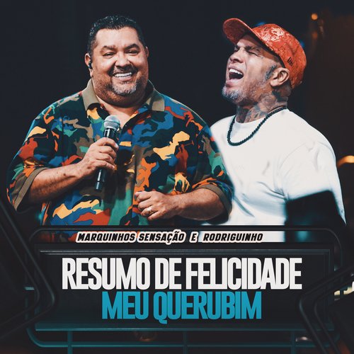 Resumo De Felicidade / Meu Querubim (Ao Vivo)_poster_image