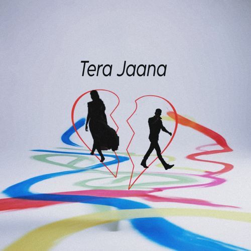 Tera Jaana