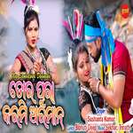 Tor Pura Karmi Arman