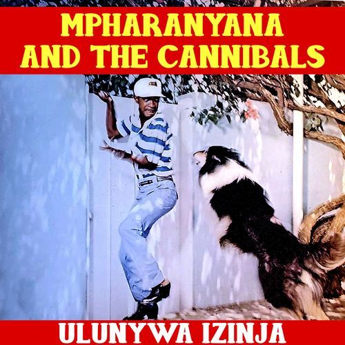 Ziyaduma cover art