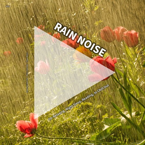 Placid Rain Sounds to Sleep To cover art