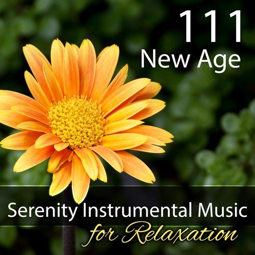 111 New Age: Serenity Instrumental Music for Relaxation, Reiki, Spa, Massage, Study, Sleep, Yoga & Meditation (Healing Nature Sounds)