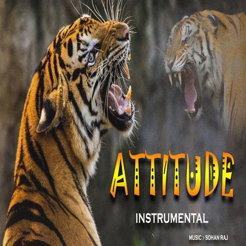 ATTITUDE