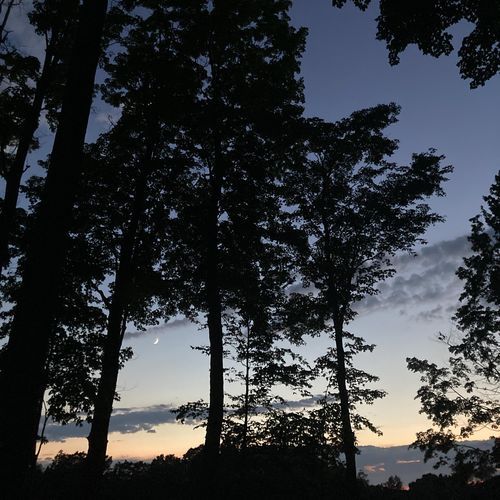 All These Constellations