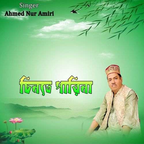 চিনতে পারিনা