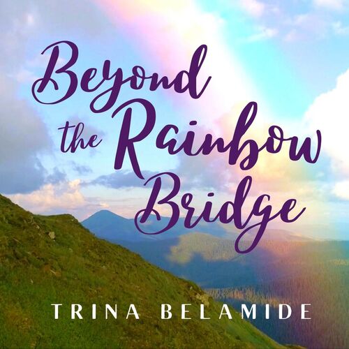 Beyond the Rainbow Bridge_poster_image