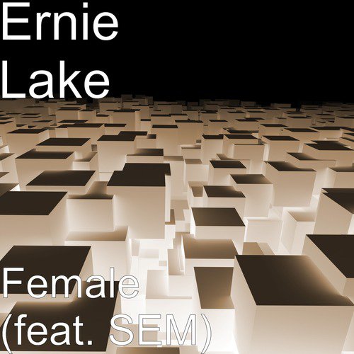 Female (feat. SEM)_poster_image