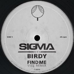 Find Me (VIZE Remix)