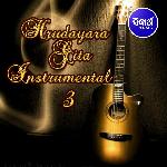 Hrudayara Gita Instrumental 3