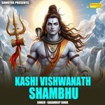 Kashi Vishwanath Shambhu