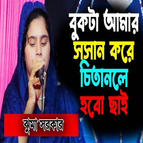বুকটা আমার সসান করে চিতানলে হবো ছাই