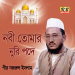 Nobi Tomar Nori Pode