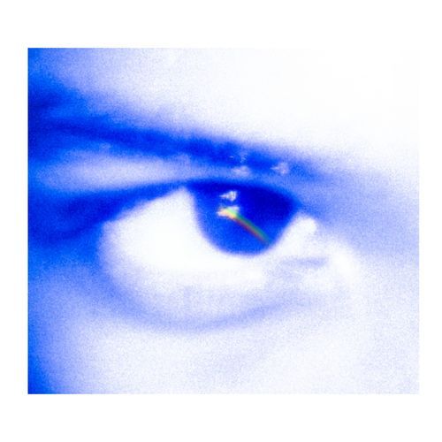 XOXO cover art