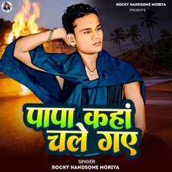 Papa Kahan Chale Gaye