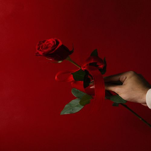Power of Drill on the Left Side cover art