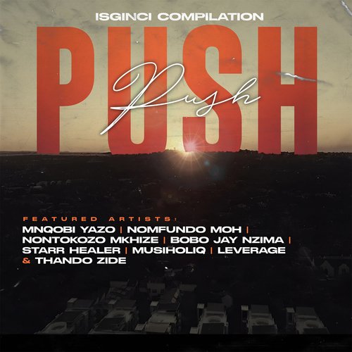 Push Push (feat. Nomfundo Moh, Leverage, Bobo Jay Nzima, Starr Healer, Thando Zide)_poster_image