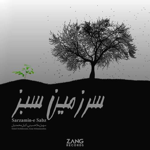 Nabat cover art