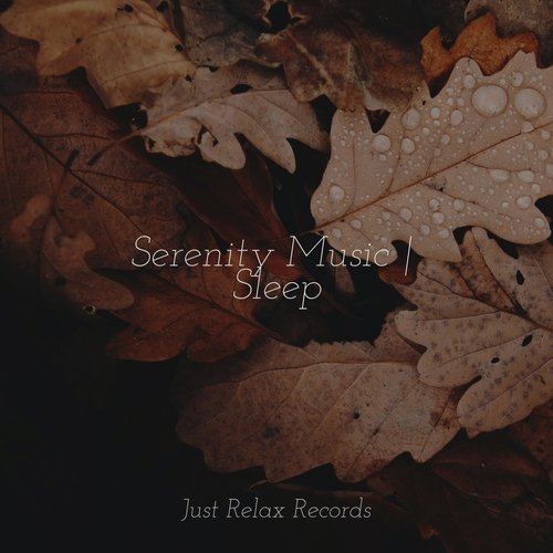 Serenity Music | Sleep